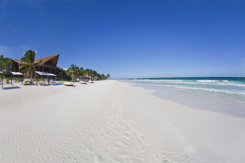 Las Ranitas Eco Boutique Hotel Tulum Zewnętrze zdjęcie