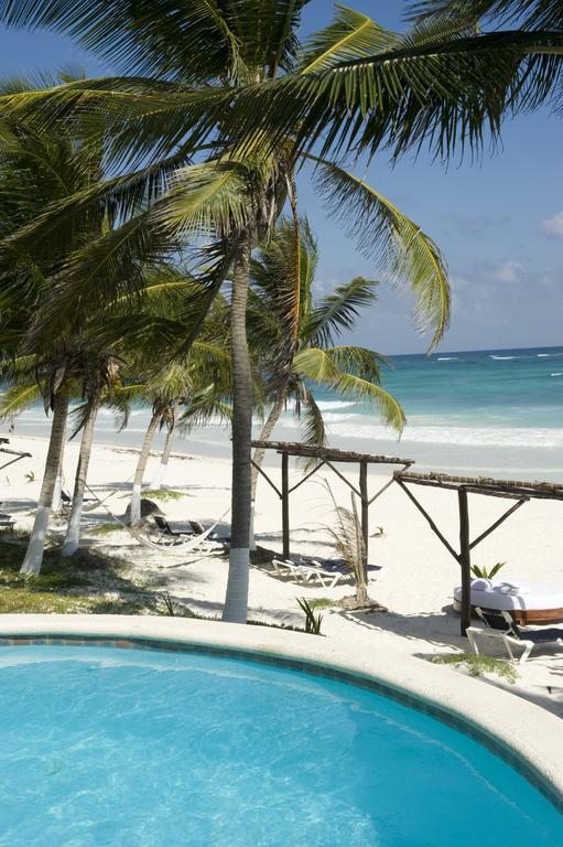 Las Ranitas Eco Boutique Hotel Tulum Pokój zdjęcie