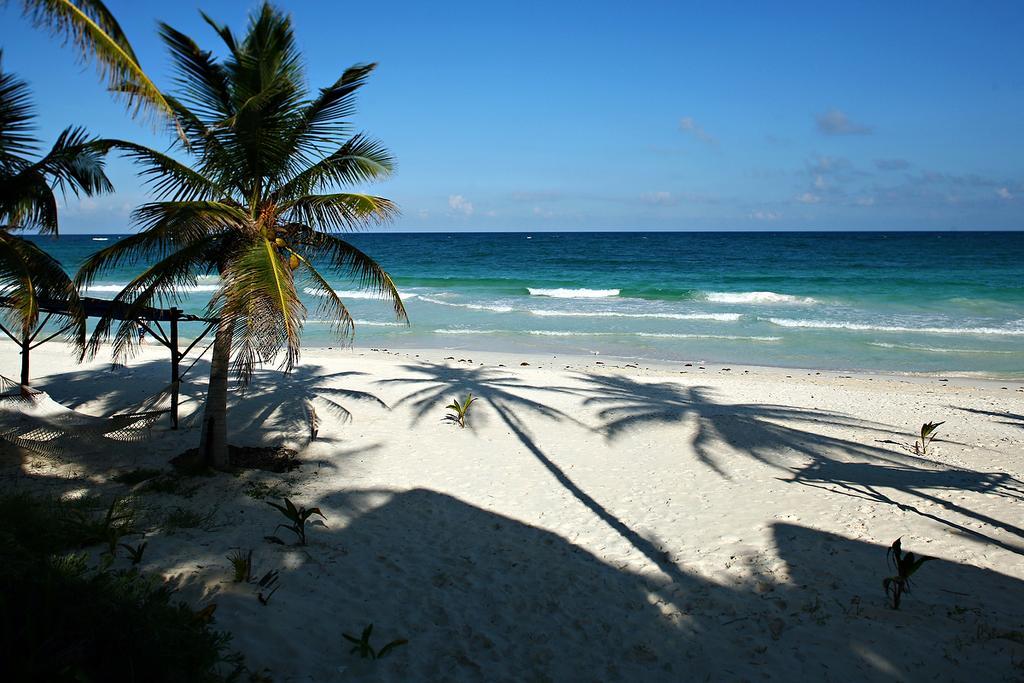 Las Ranitas Eco Boutique Hotel Tulum Zewnętrze zdjęcie